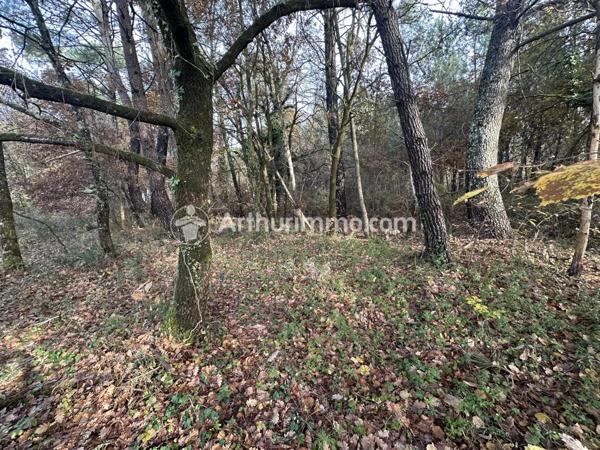 Vente Terrain 3024 m2 à Neuvic