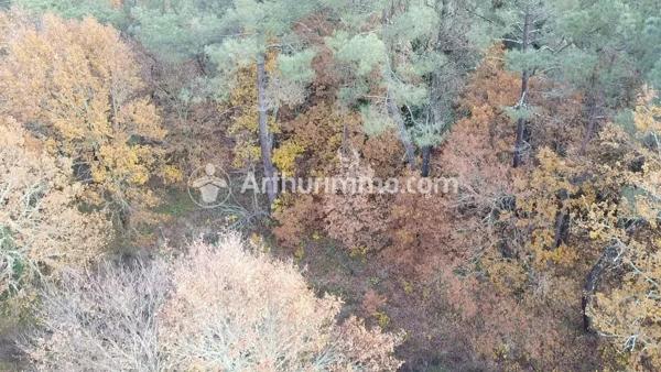 Vente Terrain 3024 m2 à Neuvic