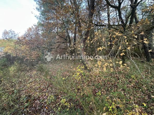 Vente Terrain 3024 m2 à Neuvic