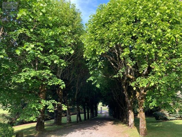 Maison de maître à vendre à Anglards-de-Salers dans le Cantal (15380), ref : 15060/1119