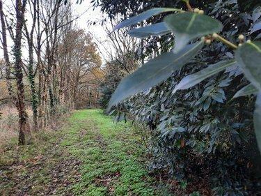 Terrain de loisirs - Bois - Etang à vendre à Aizenay en Vendée (85190), ref : 85091-5199