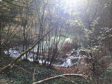 Terrain de loisirs - Bois - Etang à vendre à Aizenay en Vendée (85190), ref : 85091-5199