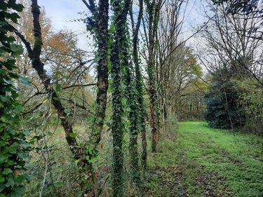 Terrain de loisirs - Bois - Etang à vendre à Aizenay en Vendée (85190), ref : 85091-5199