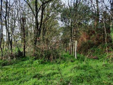 Terrain de loisirs - Bois - Etang à vendre à Aizenay en Vendée (85190), ref : 85091-5199