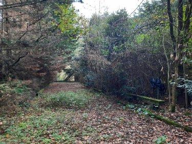 Terrain de loisirs - Bois - Etang à vendre à Aizenay en Vendée (85190), ref : 85091-5199