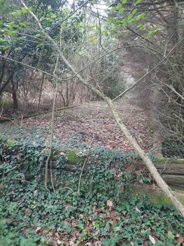 Terrain de loisirs - Bois - Etang à vendre à Aizenay en Vendée (85190), ref : 85091-5199