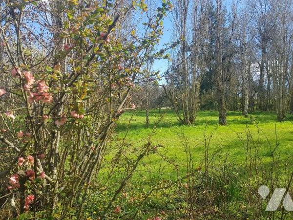 Pour les amoureux de la nature, située à 4 Km de Mennetou sur cher, dans un environnement calme...