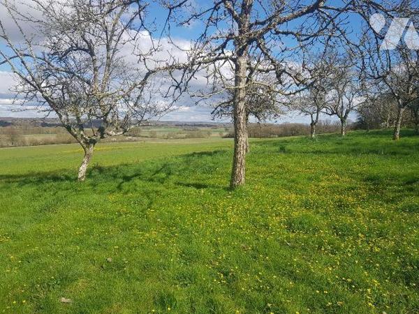 Pour les amoureux de la nature, située à 4 Km de Mennetou sur cher, dans un environnement calme...