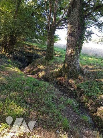 Pour les amoureux de la nature, située à 4 Km de Mennetou sur cher, dans un environnement calme...