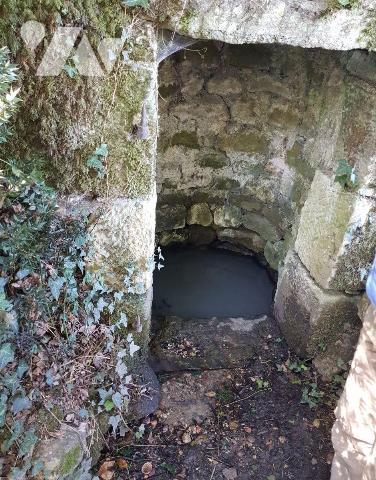 Pour les amoureux de la nature, située à 4 Km de Mennetou sur cher, dans un environnement calme...