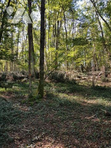 Pour les amoureux de la nature, située à 4 Km de Mennetou sur cher, dans un environnement calme...