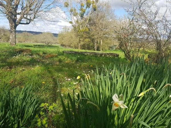 Pour les amoureux de la nature, située à 4 Km de Mennetou sur cher, dans un environnement calme...