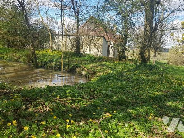 Pour les amoureux de la nature, située à 4 Km de Mennetou sur cher, dans un environnement calme...