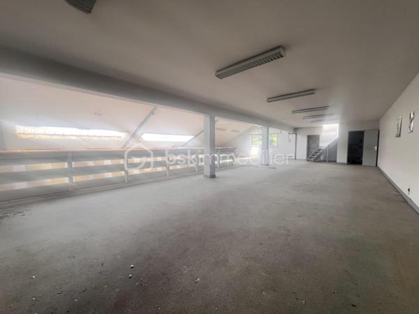 À Châteauroux, sur l'avenue de La Châtre, découvrez cet ensemble immobilier d'environ 844 m² développés offrant un potentiel rare de réaménagement et de valorisation.
Réparti sur plusieurs niveaux, le bâtiment propose actuellement :

Un vaste espace d'accueil et showroom
Plusieurs bureaux en rez-de-chaussée
Un important volume de stockage
Une mezzanine centrale
Plusieurs bureaux à l'étage
Salle de réunion
Sanitaires sur différents niveaux
Combles aménageables
Sous-sol avec caves et locaux techniques
Accès piéton indépendant
Accès véhicule permettant la livraison ou le stockage
L'architecture intérieure, les volumes disponibles et la distribution des espaces ouvrent la voie à de nombreux projets :
✔ Siège d'entreprise
✔ Activité artisanale ou commerciale
✔ Plateforme de stockage
✔ Centre de formation
✔ Espace de coworking
✔ Division en plusieurs cellules professionnelles
✔ Projet mixte bureaux / activité
✔ Transformation en logements ou résidence de services sous réserve des autorisations administratives
Les travaux à prévoir permettront au futur acquéreur d'adapter entièrement le bien à son projet et d'en révéler tout le potentiel.
Les atouts :
Surface rare sur le marché castelroussin
Environ 844 m² développés
2 niveaux + mezzanine + combles
Accès véhicule
Nombreuses possibilités d'exploitation
Stationnement gratuit à proximité
Emplacement visible sur axe passant
Un bien destiné aux investisseurs, entrepreneurs et marchands de biens recherchant un actif à forte capacité de valorisation.