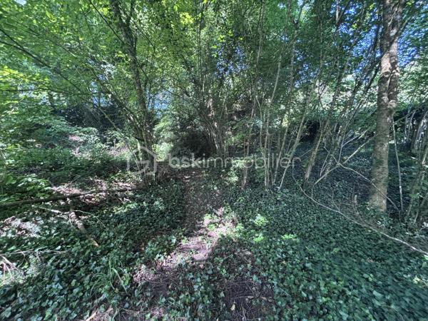 Terrain à vendre d’environ 700 m², non viabilisé, situé dans un environnement boisé à proximité immédiate du bourg de Saint-Antoine-du-Rocher.

Ce terrain à défricher offre un beau potentiel pour un projet de vie au calme, au cœur de la verdure. Vous profiterez d’un cadre naturel privilégié, idéal pour les amoureux de la nature souhaitant construire dans un environnement paisible et préservé.

Une belle opportunité de créer un lieu de vie unique, entre tranquillité et proximité des commodités.
