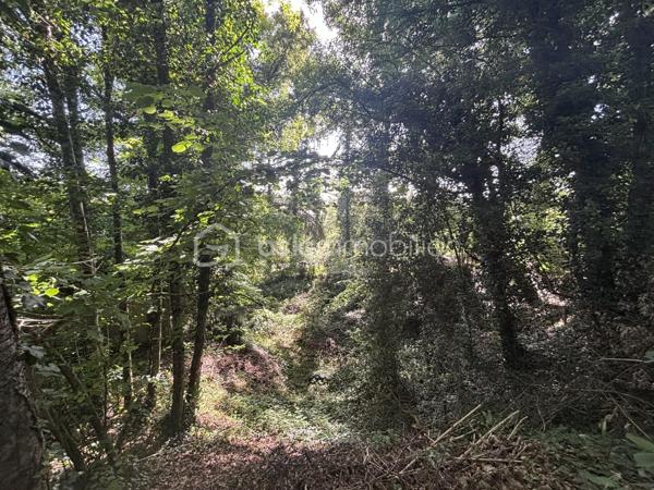 Terrain à vendre d’environ 700 m², non viabilisé, situé dans un environnement boisé à proximité immédiate du bourg de Saint-Antoine-du-Rocher.

Ce terrain à défricher offre un beau potentiel pour un projet de vie au calme, au cœur de la verdure. Vous profiterez d’un cadre naturel privilégié, idéal pour les amoureux de la nature souhaitant construire dans un environnement paisible et préservé.

Une belle opportunité de créer un lieu de vie unique, entre tranquillité et proximité des commodités.
