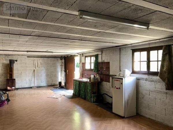 Maison à vendre à Longuenée-en-Anjou dans le Maine-et-Loire (49770), ref : 49031-2768