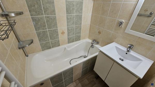 Au coeur de la pinède