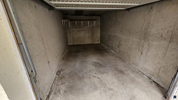 Au coeur de la pinède