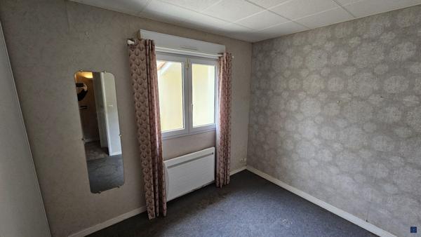 Au coeur de la pinède