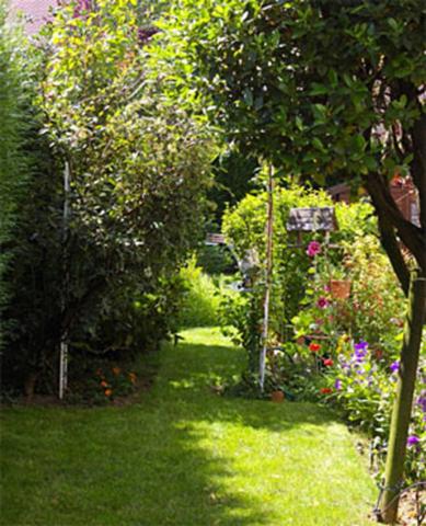 Exceptionnel T2 rez de jardin TASSIN LA DEMI LUNE (69)