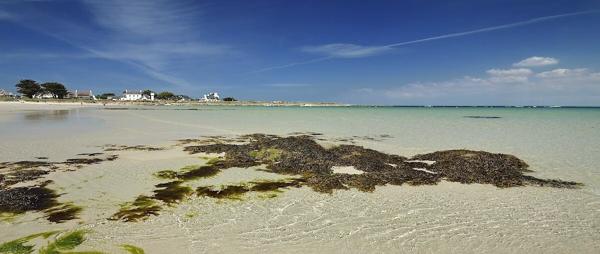 Maison familiale avec dépendance et grand terrain, face aux spots de surf de Pors Carn