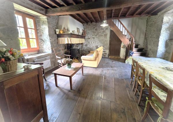 Maison en pierre entièrement rénové avec jardin