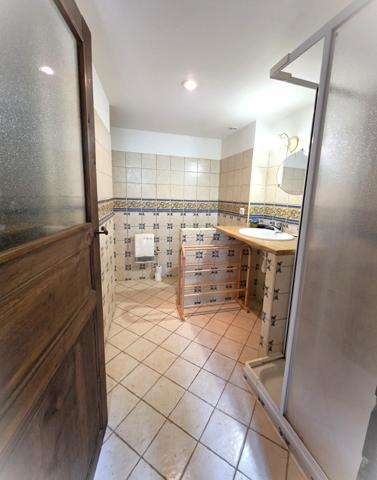 Maison en pierre entièrement rénové avec jardin