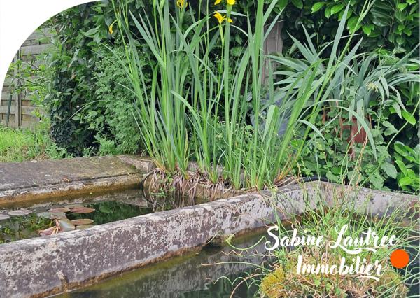 Gaillac (81600) Authentique ferme viticole rénovée – Charme, volumes + deux logements indépendants