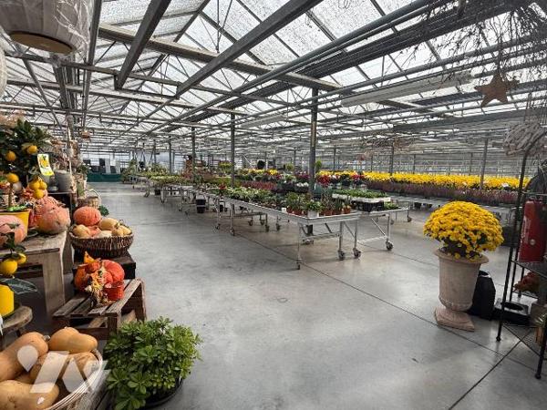 A vendre à SAINT-MARTIN-LEZ-TATINGHEM dans le Pas-de-Calais

Suite au départ à la retraite du...