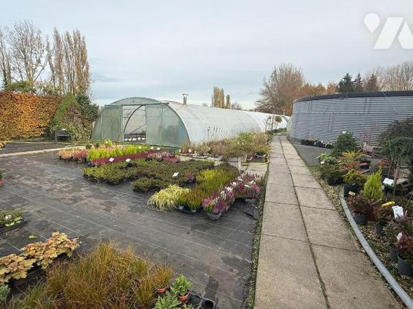 A vendre à SAINT-MARTIN-LEZ-TATINGHEM dans le Pas-de-Calais

Suite au départ à la retraite du...