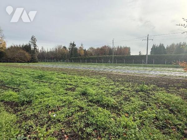 A vendre à SAINT-MARTIN-LEZ-TATINGHEM dans le Pas-de-Calais

Suite au départ à la retraite du...