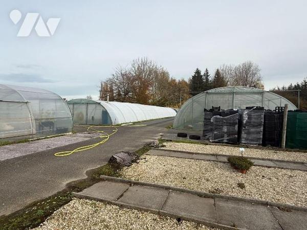 A vendre à SAINT-MARTIN-LEZ-TATINGHEM dans le Pas-de-Calais

Suite au départ à la retraite du...