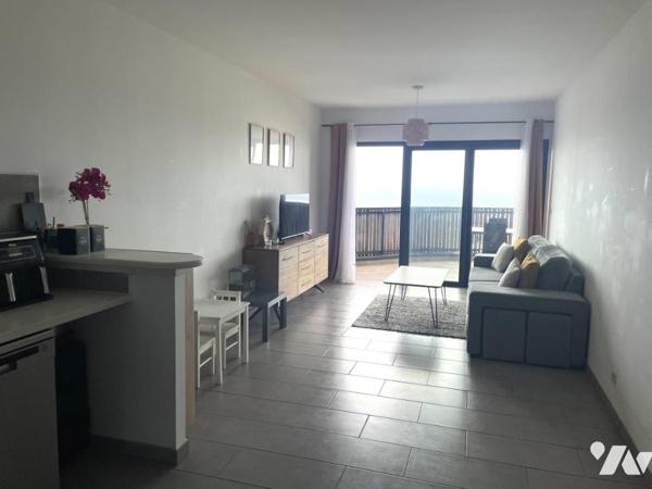 SAINT DENIS-BELLEPIERRE T3 VUE MER