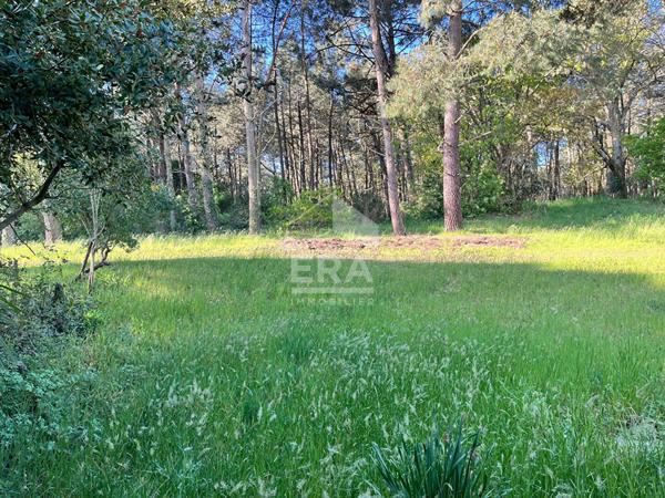 En Ville d'Hiver Arcachon : Un bijou à découvrir et à restaurer pour créer la villa de ses rêves