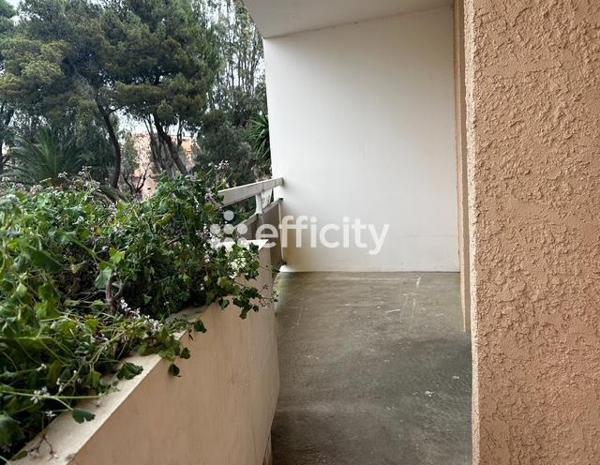 Appartement 2 pièces - 34 m²