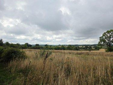 Terres à vendre à Villaines-la-Juhel en Mayenne (53700), ref : 1375 Terres à vendre à Villaines-la-Juhel en Mayenne (53700), ref : 1375