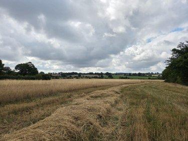 Terres à vendre à Villaines-la-Juhel en Mayenne (53700), ref : 1375 Terres à vendre à Villaines-la-Juhel en Mayenne (53700), ref : 1375