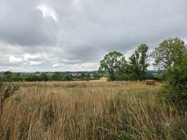 Terres à vendre à Villaines-la-Juhel en Mayenne (53700), ref : 1375 Terres à vendre à Villaines-la-Juhel en Mayenne (53700), ref : 1375