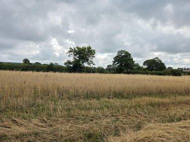 Terres à vendre à Villaines-la-Juhel en Mayenne (53700), ref : 1375 Terres à vendre à Villaines-la-Juhel en Mayenne (53700), ref : 1375