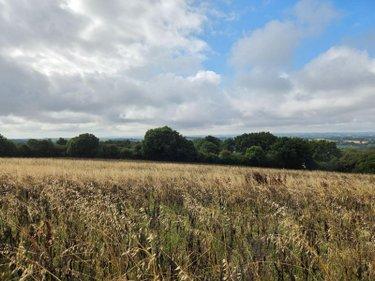 Terres à vendre à Villaines-la-Juhel en Mayenne (53700), ref : 1375 Terres à vendre à Villaines-la-Juhel en Mayenne (53700), ref : 1375