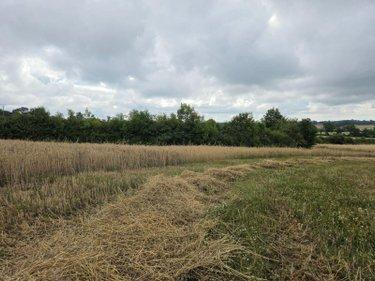 Terres à vendre à Villaines-la-Juhel en Mayenne (53700), ref : 1375 Terres à vendre à Villaines-la-Juhel en Mayenne (53700), ref : 1375