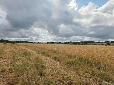 Terres à vendre à Villaines-la-Juhel en Mayenne (53700), ref : 1375 Terres à vendre à Villaines-la-Juhel en Mayenne (53700), ref : 1375