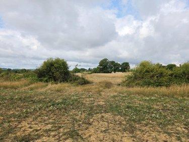 Terres à vendre à Villaines-la-Juhel en Mayenne (53700), ref : 1375 Terres à vendre à Villaines-la-Juhel en Mayenne (53700), ref : 1375