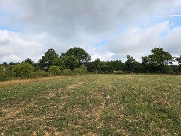 Terres à vendre à Villaines-la-Juhel en Mayenne (53700), ref : 1375 Terres à vendre à Villaines-la-Juhel en Mayenne (53700), ref : 1375