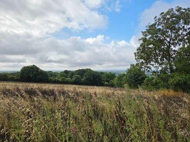 Terres à vendre à Villaines-la-Juhel en Mayenne (53700), ref : 1375 Terres à vendre à Villaines-la-Juhel en Mayenne (53700), ref : 1375