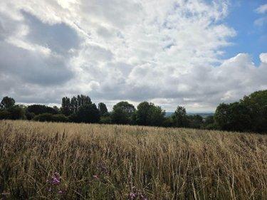 Terres à vendre à Villaines-la-Juhel en Mayenne (53700), ref : 1375 Terres à vendre à Villaines-la-Juhel en Mayenne (53700), ref : 1375