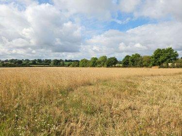 Terres à vendre à Villaines-la-Juhel en Mayenne (53700), ref : 1375 Terres à vendre à Villaines-la-Juhel en Mayenne (53700), ref : 1375