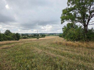 Terres à vendre à Villaines-la-Juhel en Mayenne (53700), ref : 1375 Terres à vendre à Villaines-la-Juhel en Mayenne (53700), ref : 1375