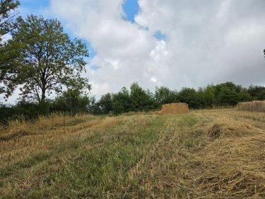 Terres à vendre à Villaines-la-Juhel en Mayenne (53700), ref : 1375 Terres à vendre à Villaines-la-Juhel en Mayenne (53700), ref : 1375